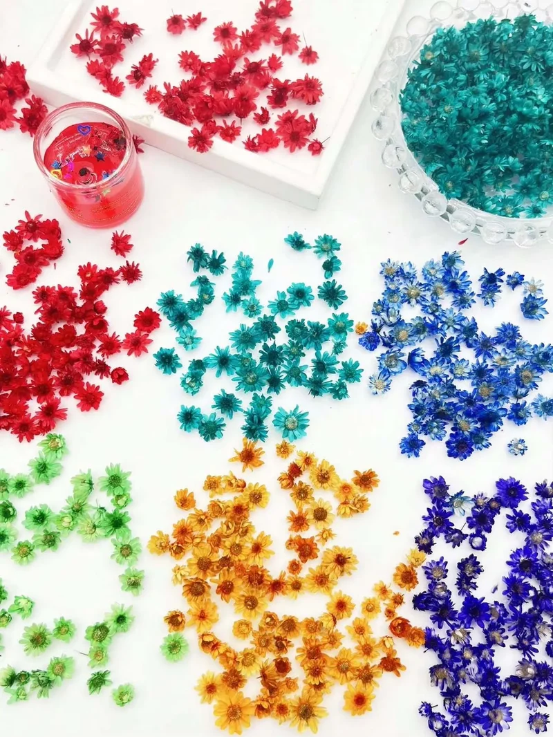 Artificial Plants Natural Real Dried Flowers for Candles Mold Epoxy Resin DIY Making Decoration Nail Art Home Accessories Crafts