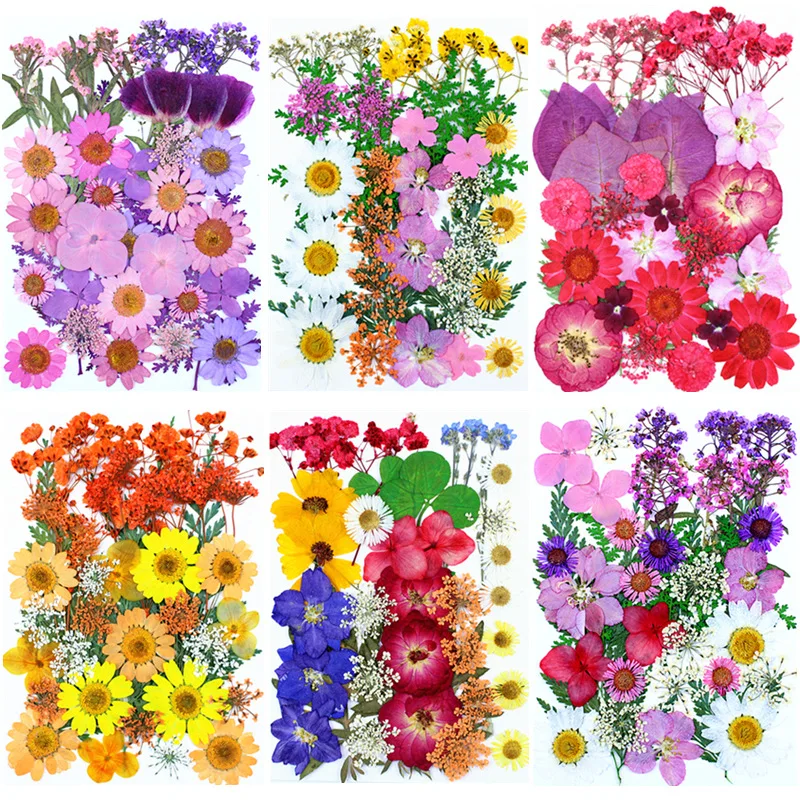 More Than 30PCS Mixed Style Dried Flowers for DIY Resin Mold Fillings Natural Real Pressed Flower Nail Art Decorations