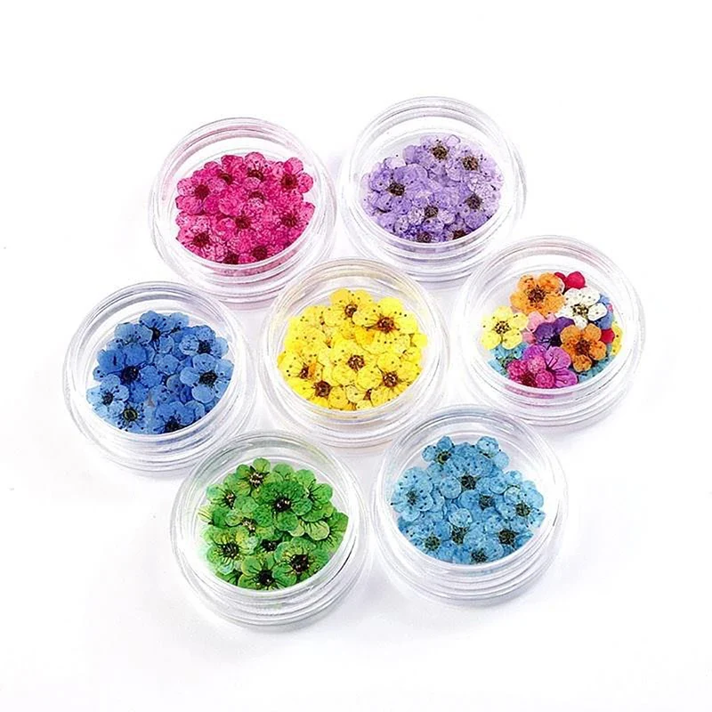 20pcs/box DIY Accessories Pressed Dried Narcissus Plum Blossom Flower For Epoxy Resin Jewelry Making Nail Art Craft