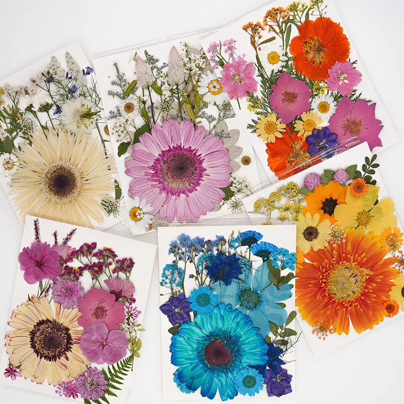 22PCS Set Mix Dried Flowers for Resin Mold Fillings Natural Real Pressed Flowers Leaves Nails Jewelry Pendant Crafts Floral Art