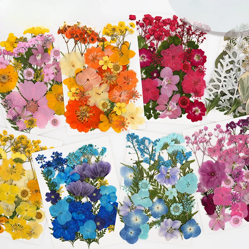 30PCS Package Dried Pressed Flowers for Resin Art Craft Supplies Scrapbooking DIY Candle Mold Fillings Natural Real Flower Leave