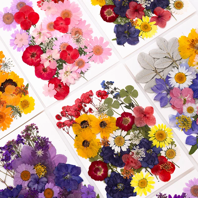 New Mixed Style Dried Pressed Flowers for DIY Resin Jewelry Mold Making Natural Real Dried Flower Leaves Candle Art Decoration