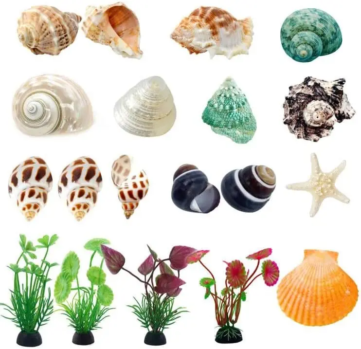 Hermit Crab Shells Small to Medium Artificial Plants Starfish 17pcs Decorations Supplies Natural Turbo Shells House Tank
